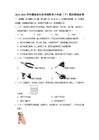 湖南省长沙市浏阳市2022-2023学年八年级下学期期末物理试卷(含答案)