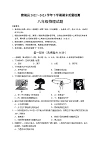 陕西省渭南市蒲城县2022-2023学年下学期八年级期末物理试卷（含答案）