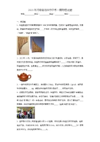 2023年河南省洛阳市中考一模物理试题(含解析)