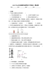 2023年山东省淄博市高青县中考物理一模试题（含解析）