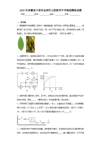 2023年安徽省六安市金安区七校联考中考物理模拟试题(含解析)