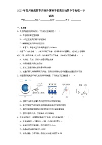 2023年四川省成都市实验外国语学校温江校区中考物理一诊试题（含解析）