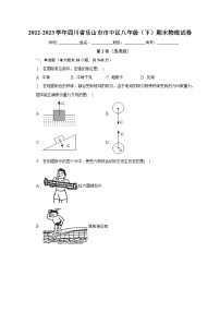 四川省乐山市市中区2022-2023学年八年级下学期期末物理试卷（含答案）