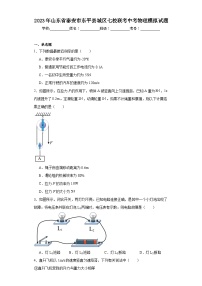 2023年山东省泰安市东平县城区七校联考中考物理模拟试题（含解析）