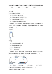2023年山东省泰安市东平县城区七校联考中考物理模拟试题(含解析)