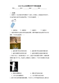 2023年山东省潍坊市中考物理真题（含解析）