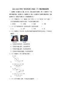 广西百色市2022-2023学年八年级下学期期末物理试卷（含答案）
