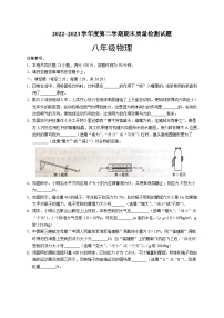 安徽省安庆市桐城市2022-2023学年度下学期期末质量检测八年级物理试题（含答案）