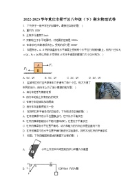 重庆市梁平区2022-2023学年八年级下学期期末质量监测物理试题（含答案）