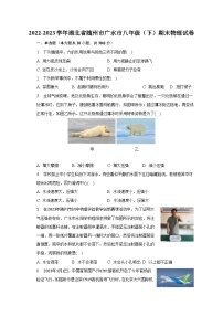 2022-2023学年湖北省随州市广水市八年级（下）期末物理试卷（含解析）