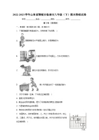 山东省聊城市临清市2022-2023学年八年级下学期期末物理试卷（含答案）