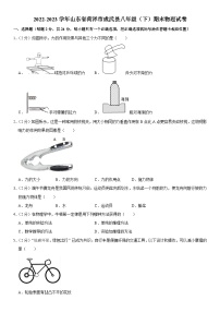 山东省菏泽市成武县2022-2023学年八年级下学期期末物理试卷（含答案）