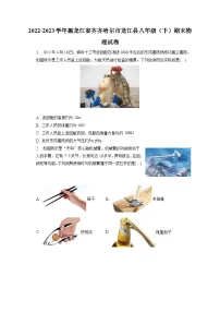 黑龙江省齐齐哈尔市龙江县2022-2023学年八年级下学期期末物理试卷(含答案)