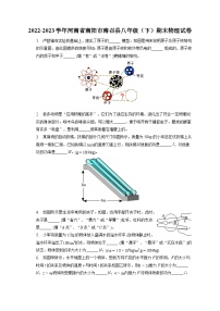 河南省南阳市南召县2022-2023学年八年级下学期期末物理试卷（含答案）