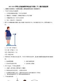 山东省淄博市桓台县2022-2023学年八年级下学期期末物理试卷（含答案）