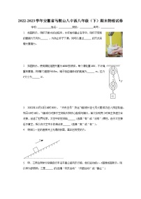 安徽省马鞍山八中2022-2023学年八年级下学期期末物理试卷（含答案）