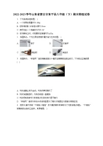 山东省泰安市东平县2022-2023学年八年级下学期期末物理试卷（含答案）