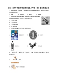 陕西省咸阳市乾县2022-2023学年八年级下学期期末物理试卷（含答案）