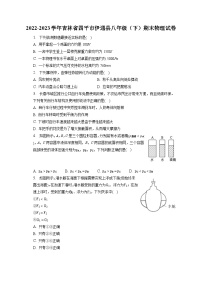 吉林省四平市伊通县2022-2023学年八年级下学期期末物理试卷（含答案）