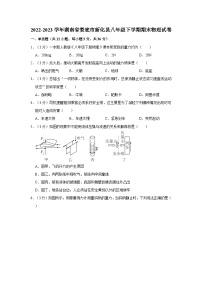 2022-2023学年湖南省娄底市新化县八年级下学期期末物理试卷（含解析）