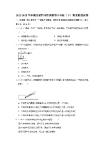 湖北省荆州市洪湖市2022-2023学年八年级下学期期末物理试卷（含答案）