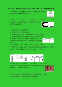 四川省达州市宣汉县2022-2023学年八年级下学期期末物理试卷（含答案）