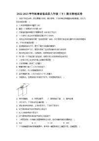 海南省临高县2022-2023学年八年级下学期期末物理试卷（含答案）