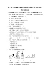 湖南省衡阳市蒸湘区船山实验中学2022-2023学年八年级下学期期末物理试卷（含答案）