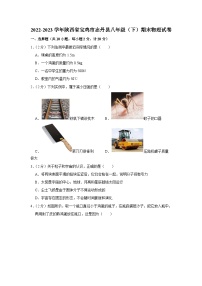 陕西省宝鸡市志丹县2022-2023学年八年级下学期期末物理试卷（含答案）