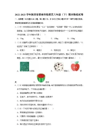 陕西省渭南市临渭区2022-2023学年八年级下学期期末物理试卷（含答案）