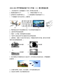 青海省西宁市2022-2023学年八年级上学期期末物理试卷（含答案）