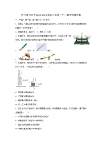 四川省内江市2022-2023学年八年级下学期期末物理试卷（含答案）