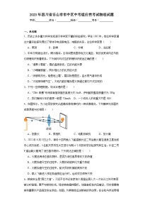 2023年四川省乐山市市中区中考适应性考试物理试题（含解析）