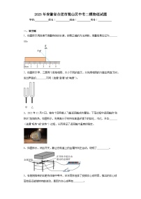 2023年安徽省合肥市蜀山区中考二模物理试题（含解析）