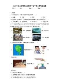 2023年山东省青岛大学附属中学中考二模物理试题（含解析）