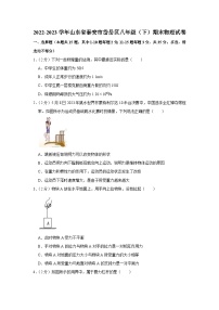 山东省泰安市岱岳区2022-2023学年八年级下学期7月期末物理试题（含答案）