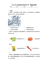 2023年江苏省淮安市洪泽区中考一模物理试题（含解析）