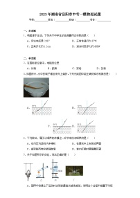 2023年湖南省岳阳市中考一模物理试题（含解析）