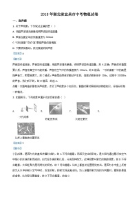 2018年湖北省宜昌市中考物理试题（解析）