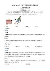 湖北省襄阳市枣阳市2022-2023学年八年级下学期期末考试物理试题（解析版）