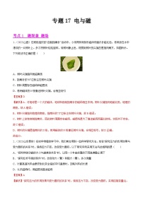 2023年中考物理真题分类汇编-专题17 电与磁