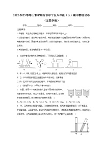 2022-2023学年山东省烟台市牟平区八年级（下）期中物理试卷（五四学制）（含解析）