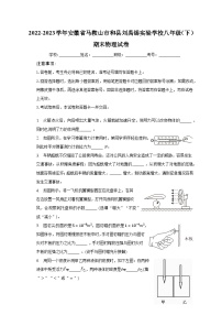 2022-2023学年安徽省马鞍山市和县刘禹锡实验学校八年级（下）期末物理试卷（含解析）