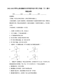 2022-2023学年山东省德州市齐河县华店中学八年级（下）期中物理试卷（含解析）