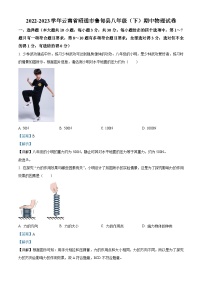 云南省昭通市鲁甸县2022-2023学年八年级下学期期中物理试题（解析版）