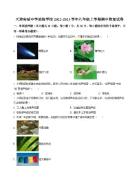 天津实验中学滨海学校2022-2023学年八年级上学期期中物理试题