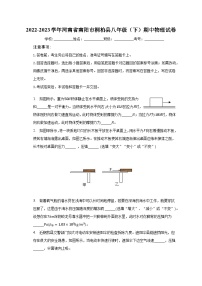 2022-2023学年河南省南阳市桐柏县八年级（下）期中物理试卷（含解析）