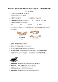 2022-2023学年山东省聊城市东阿县八年级（下）期中物理试卷（含解析）