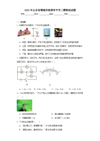 2023年山东省聊城市临清市中考三模物理试题（含解析）