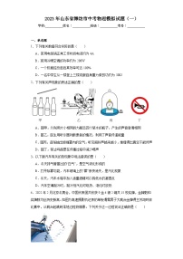 2023年山东省潍坊市中考物理模拟试题（一）（含解析）